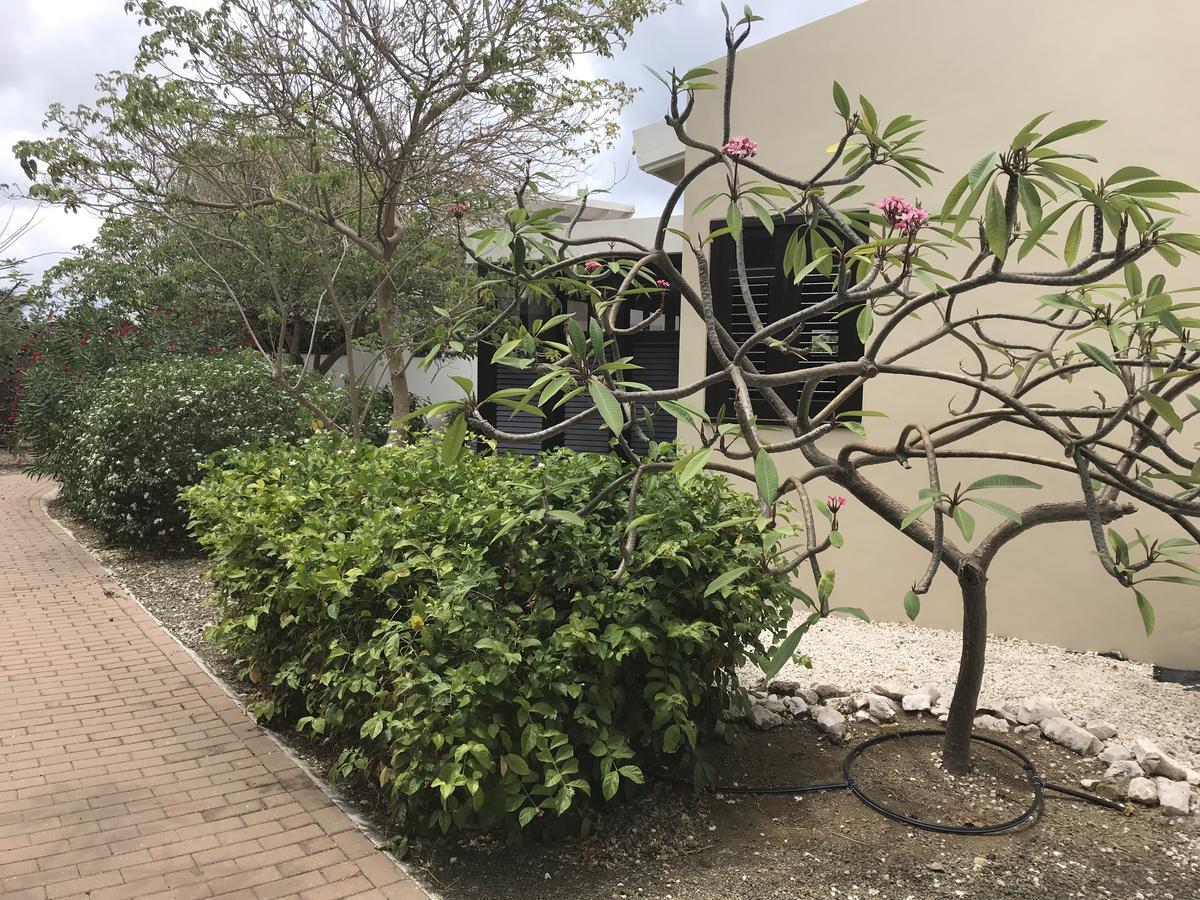 Blue Bay Resort Garden Дорп-Синт-Михил Экстерьер фото
